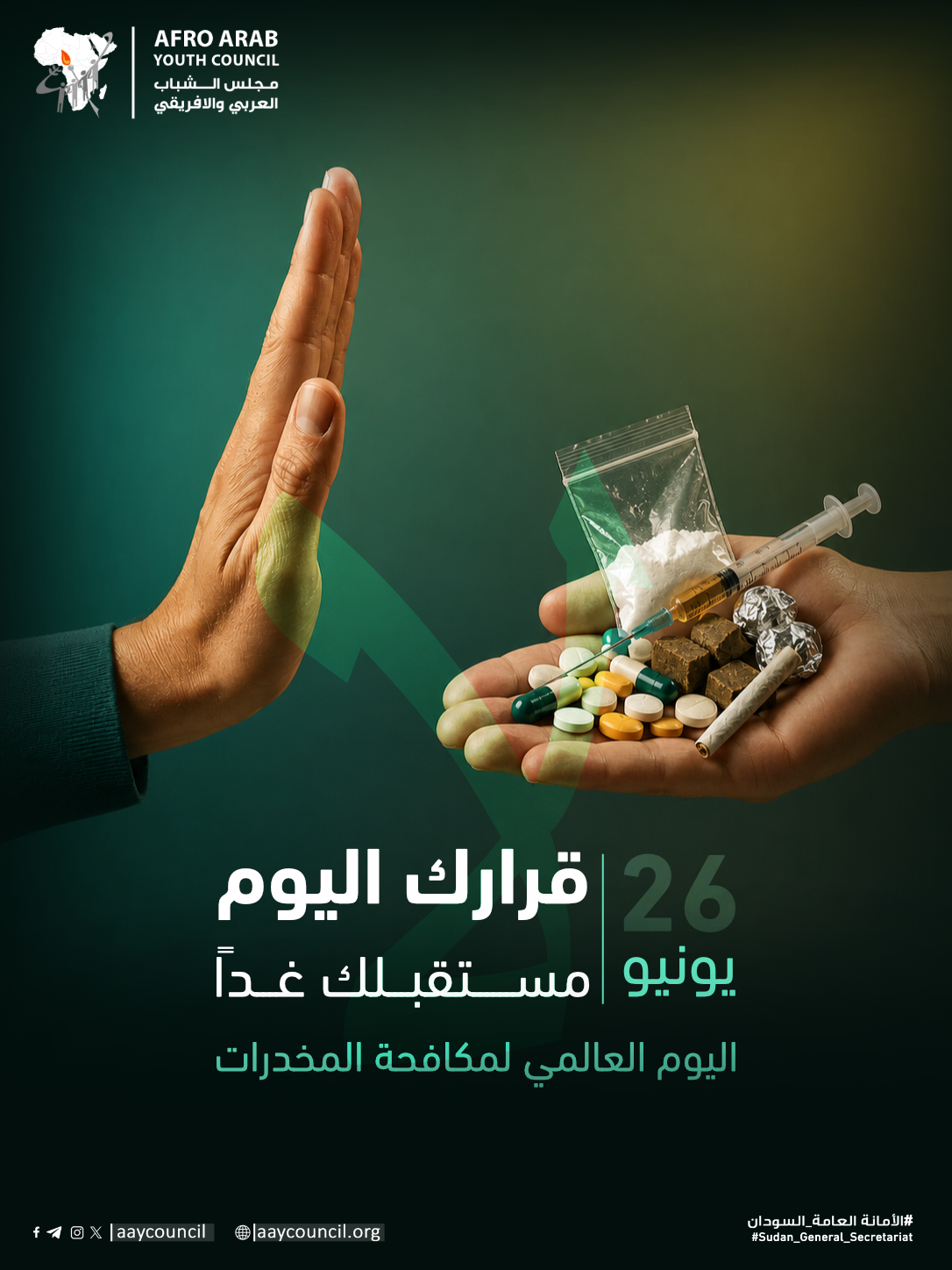 صورة رقم 2
